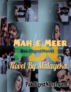 Mah-E-Meer (Novel Pdf) By Malayeka Rafi