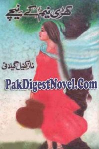 Khari Neem Kay Nichay (Novel Pdf) By Naz Kafeel Gillani