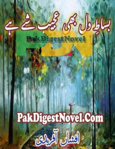Bisat-E-Dil Bhi Ajeeb Shay Hai (Novel Pdf) By Afshan Afridi