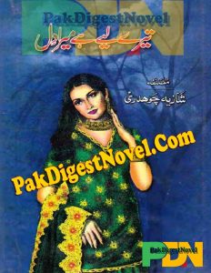 Tere Liye Hai Mera Dil (Novel Pdf) By Shazia Choudrey