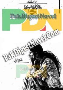 Dil Diya Roshan Howa (Novel Pdf) By Shumaila Dilebad